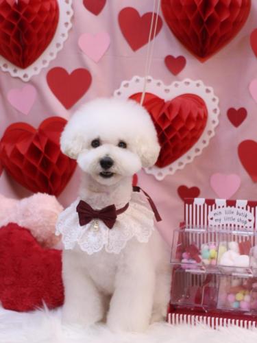 20240211ちくわくん